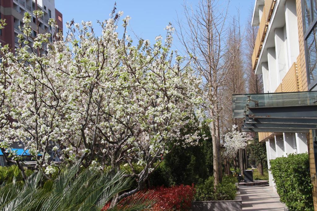 L'Otel Xangai Exterior foto
